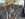 10391-higer-a30-2019-euro-6.jpeg