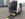 2486-daily-50c18.jpg