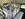 8431-hiace-high-roof-microbus.jpg