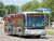 Autobuses - Citaro O530 (2007, 45 in stock)